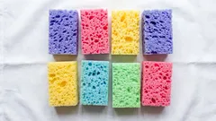 Waarom moet je afwassponzen in de vriezer en in een bloempot leggen: 10 redenen om meer afwassponzen te kopen