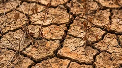 Wanneer de grond zegt “genoeg”: tekenen dat het tijd is om het bed met rust te laten